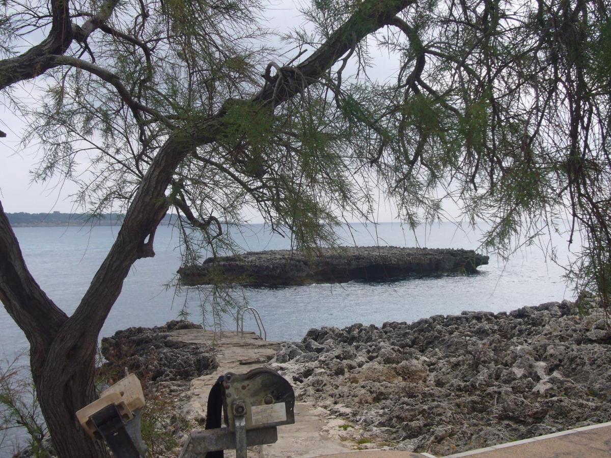 Randemar Hébergement de vacances *
