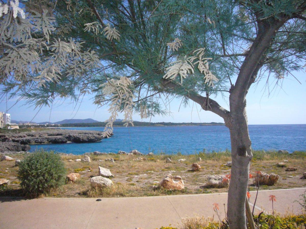 Hébergement de vacances Randemar *
